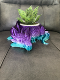 🌿 Dragon Planter