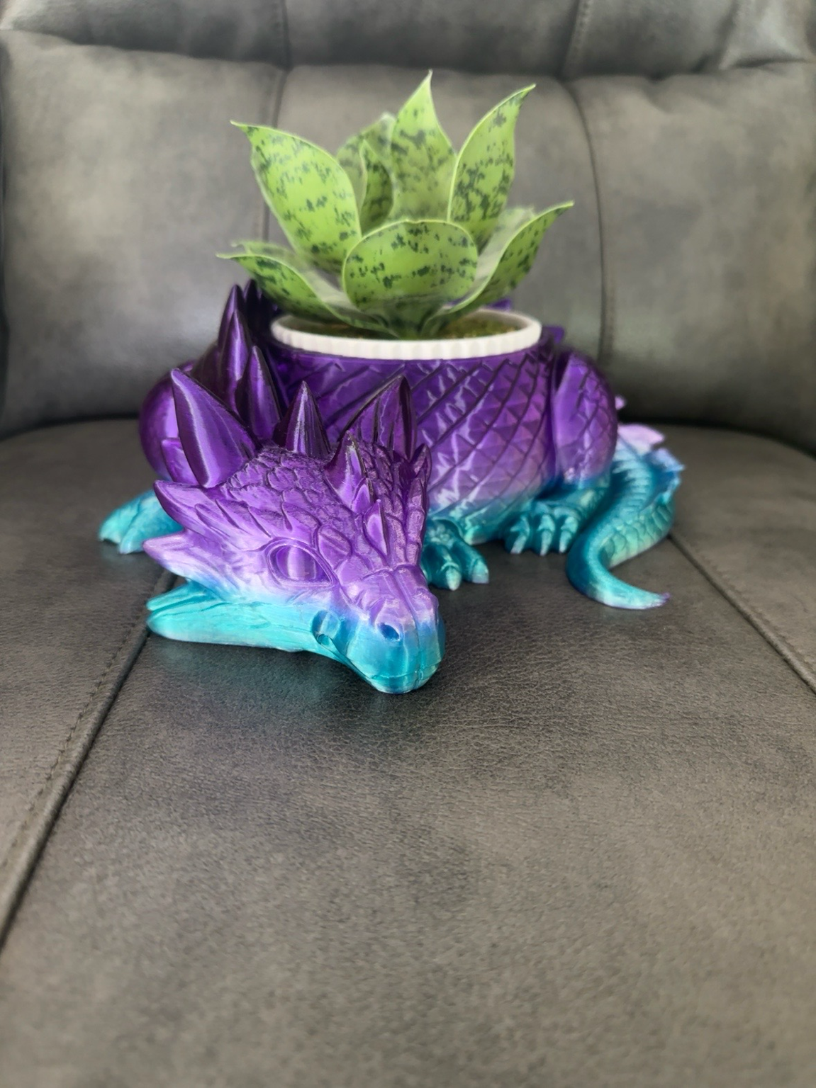 🌿 Dragon Planter