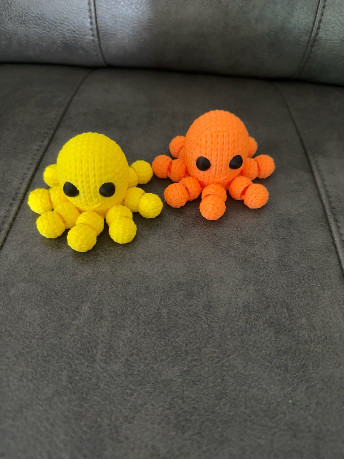 Baby octopus
