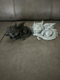 Baby Sleeping Dragon