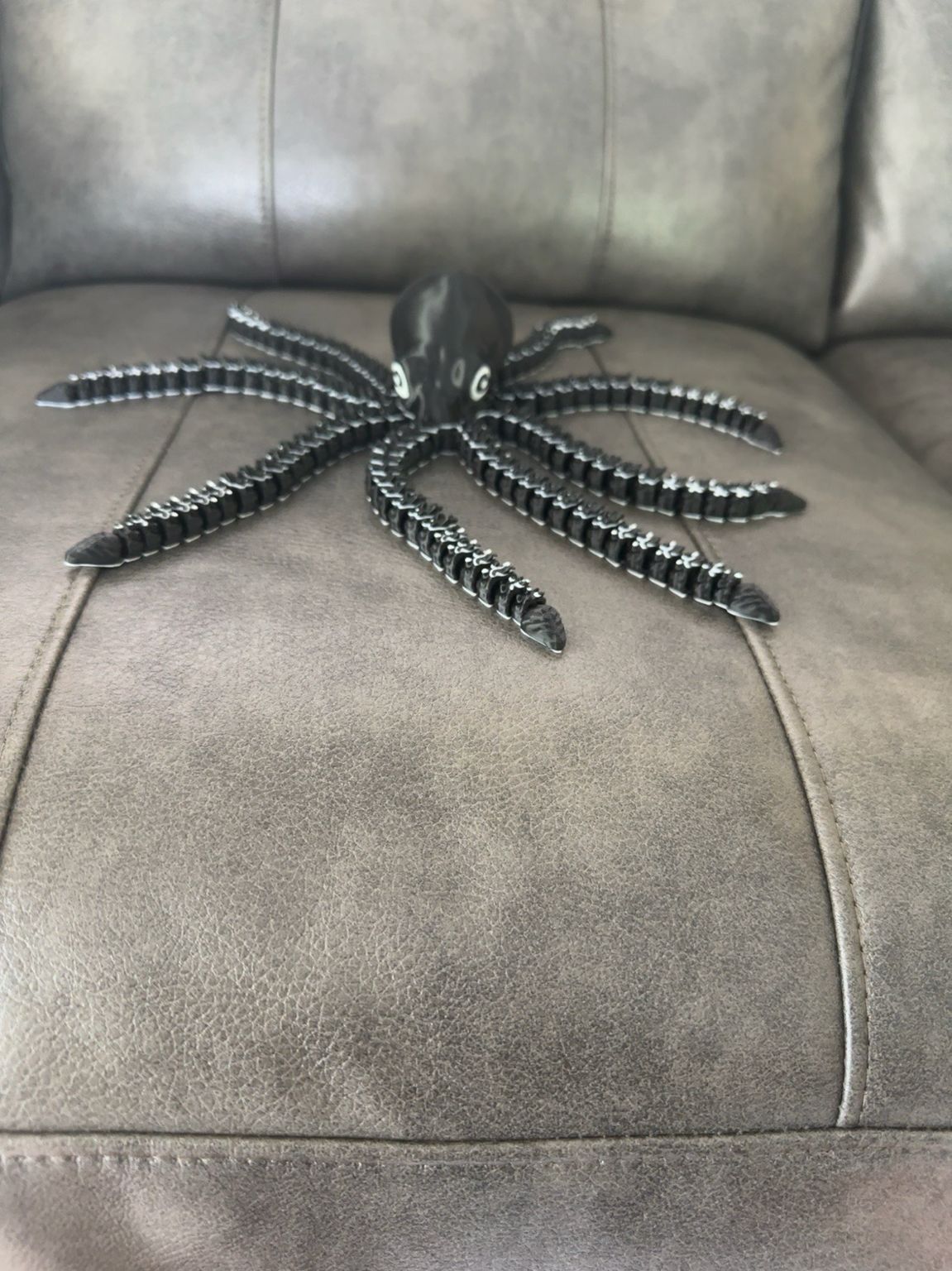 Large Octopus